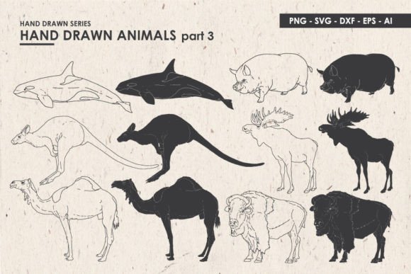 Animal Illustrations SVG Vector PNG Graphics Review