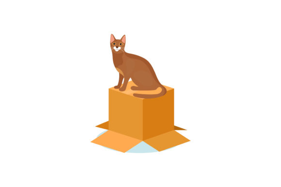 Cat Box Illustrations: Cute Vector Graphics Review