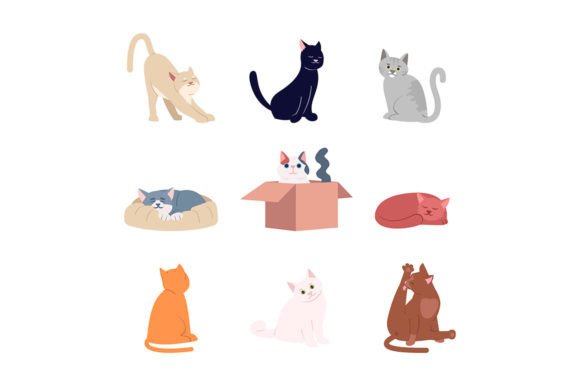 Cute Cats SVG Graphics & Illustrations Review