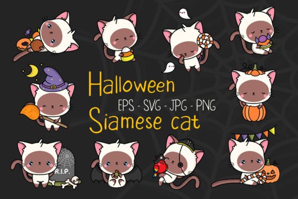 Funny Halloween Cat Illustrations: Graphics Review