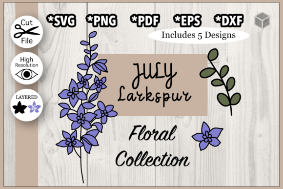 July Larkspur Flower Illustrations: Graphics Review