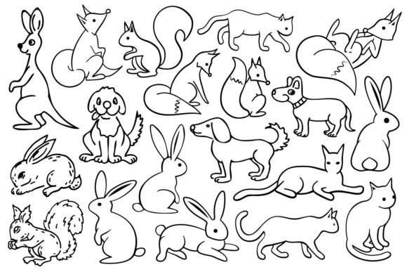 Line Art Cute Animal Graphics & Illustrations Review
