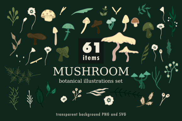 Mushroom Botanical Illustrations Set: A Designer’s Review