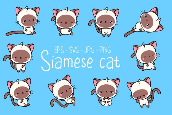 Siamese Cat Cute Kawaii Illustrations for Brand Graphics
