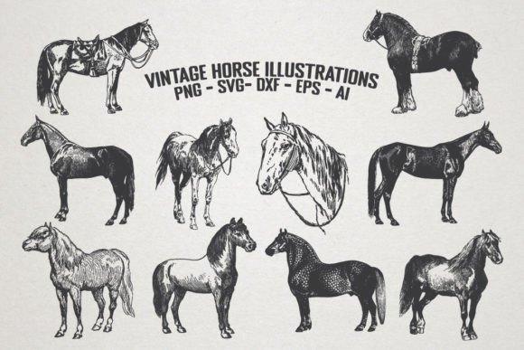 Vintage Horse Illustrations: Graphics for Crafters